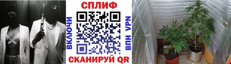 МАРИХУАНА OG Kush  ОМГ ОМГ рабочий сайт  Туапсе 